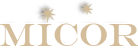 Bootstrap